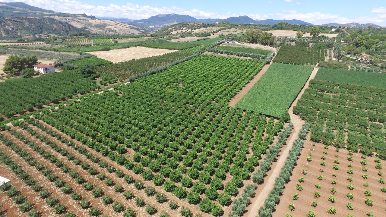 Azienda Agricola di Lungaretti Francesco