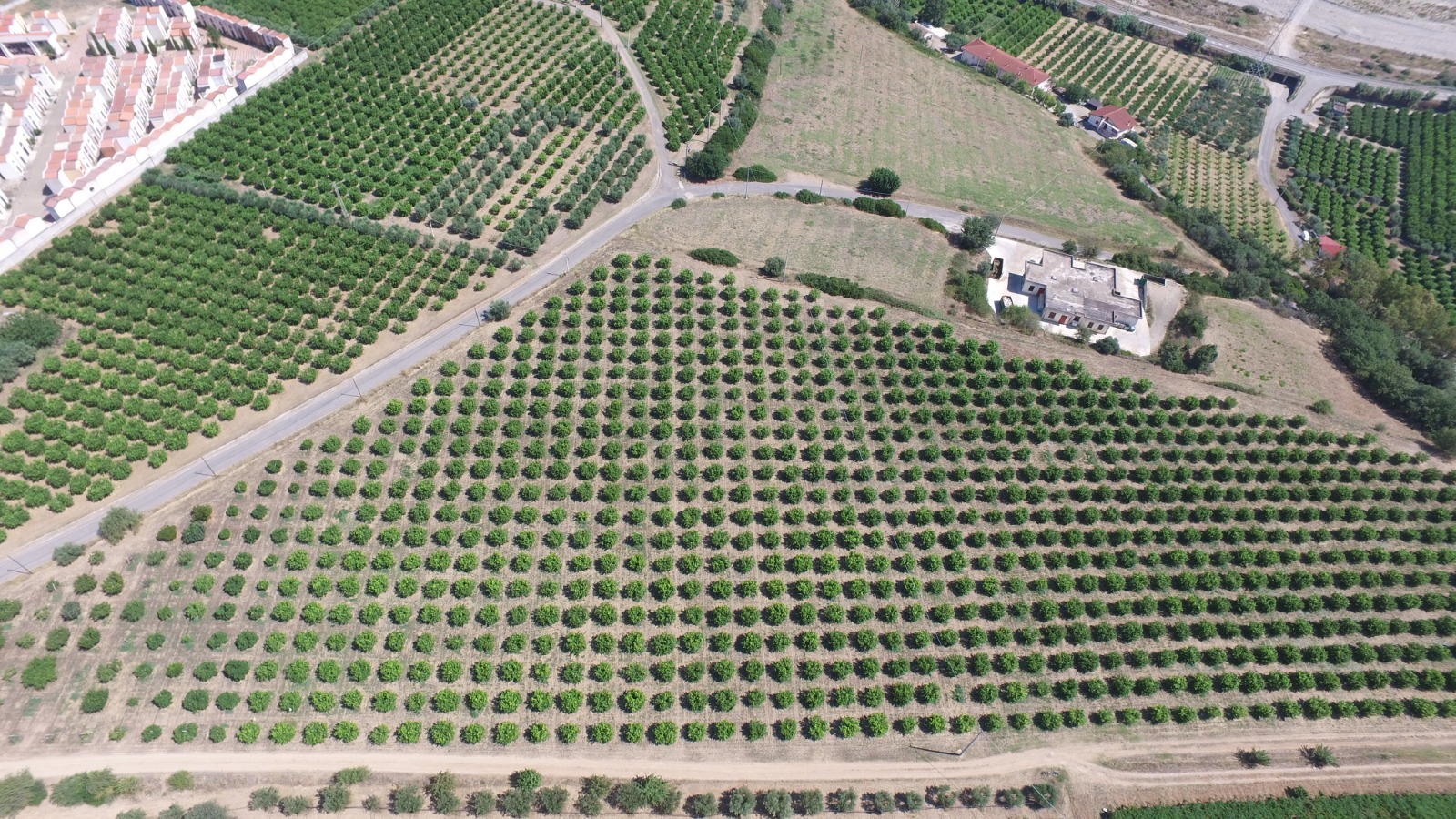 Azienda Agricola di Pompameo Piero