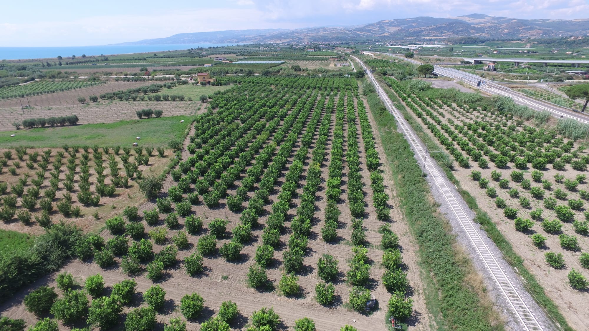 Azienda Agricola di Sprovieri Luca Antonio